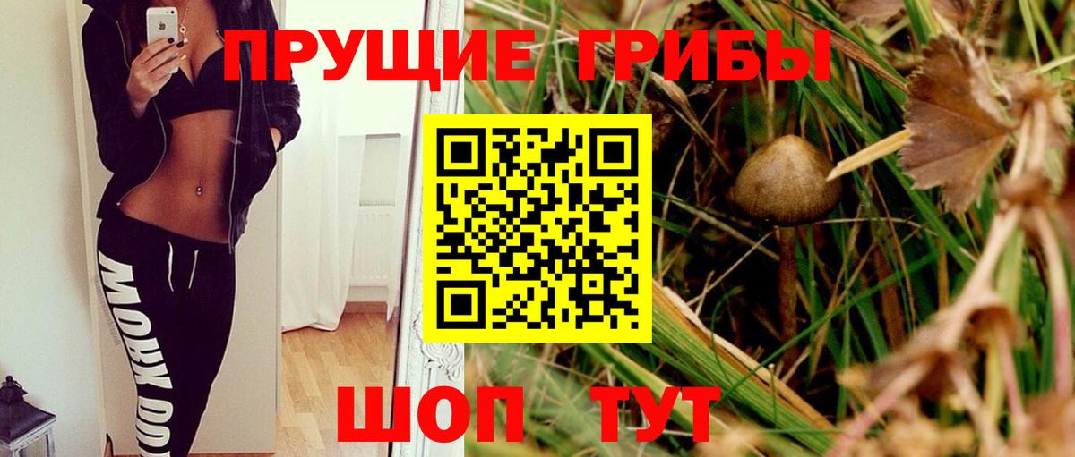 Псилоцибиновые грибы Psilocybine cubensis  Вход с VPN  Орехово-Зуево 